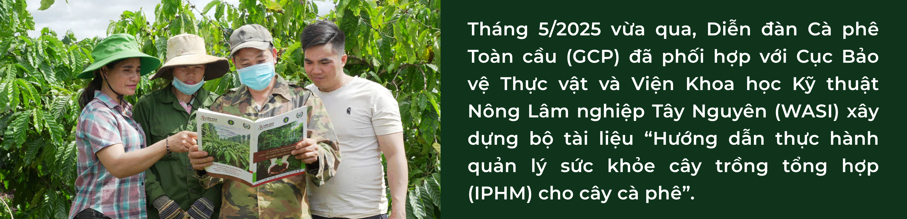 iphm-6-1750063494.png