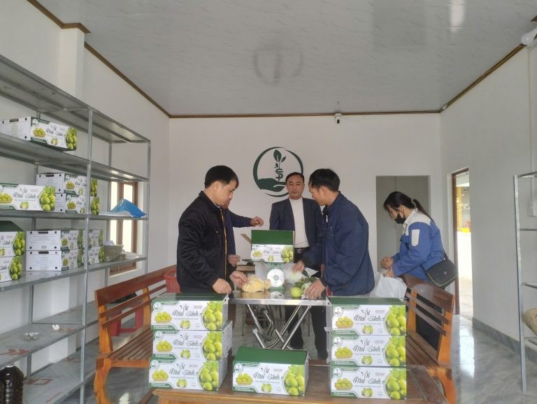 oi-huong-son-3-1750044646.jpg