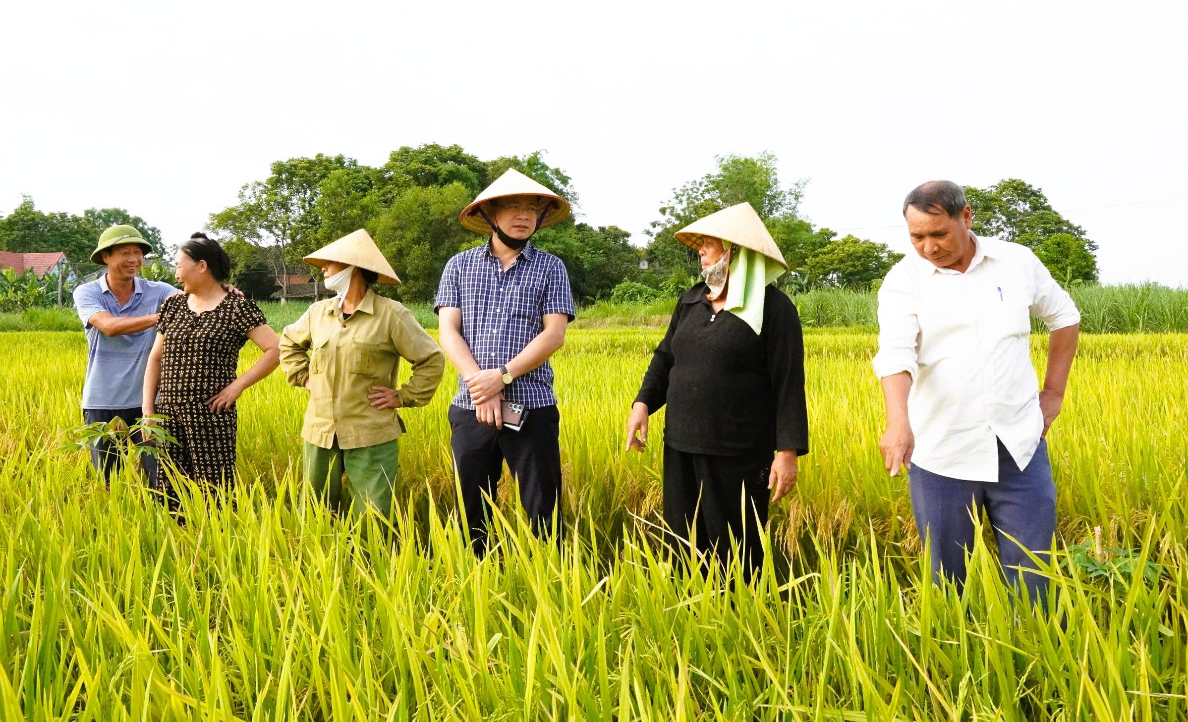 lua-khong-ket-hat-2-1750259955.jpg
