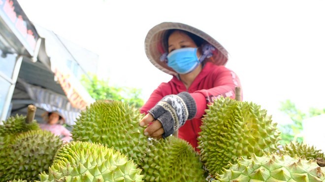 sau-rieng-1750222041.jpeg