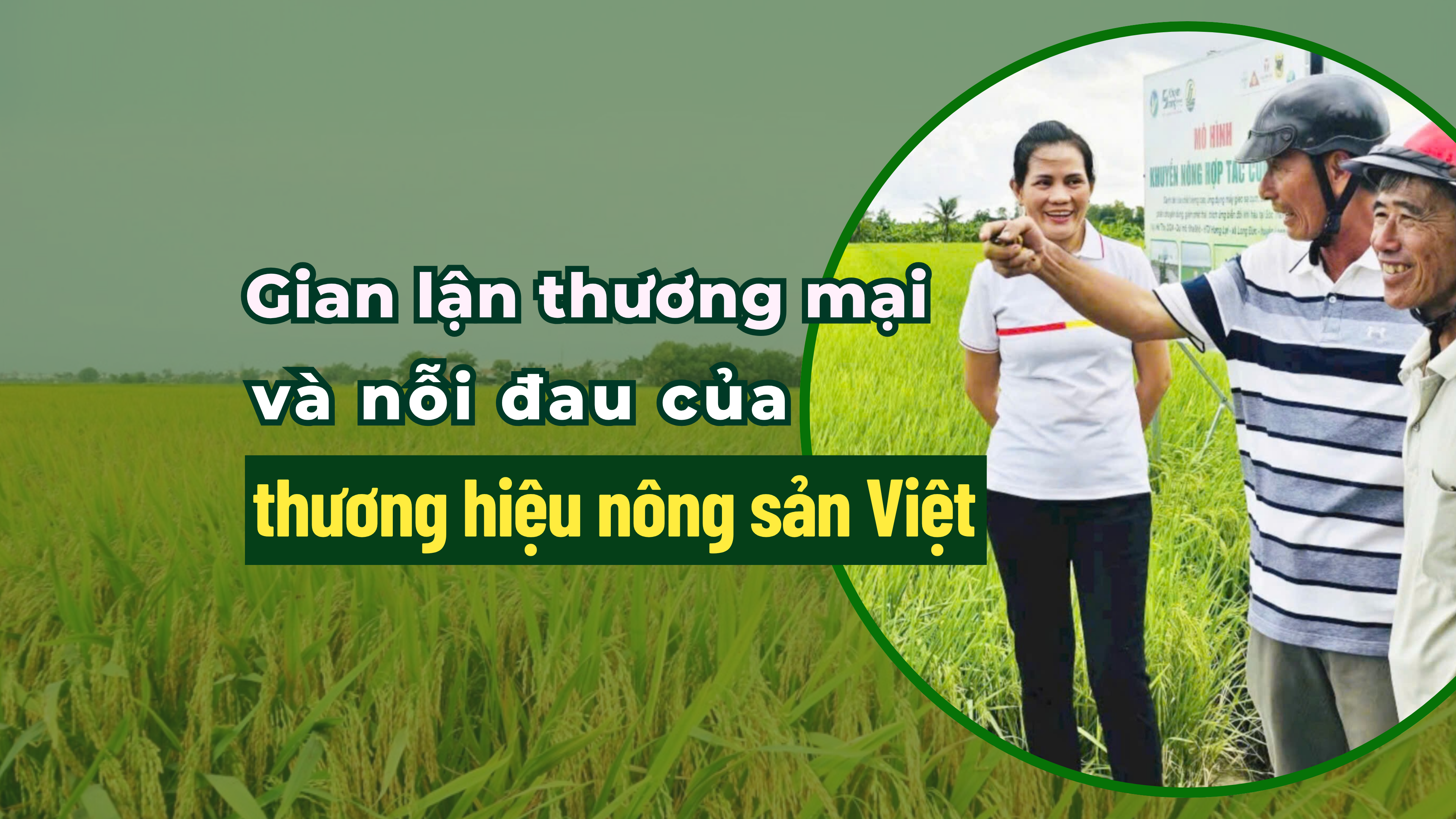 Gian lận thương mại và nỗi đau thương hiệu nông sản Việt - Bài 2: Củng cố thương hiệu từ việc bảo hộ quyền sở hữu trí tuệ
