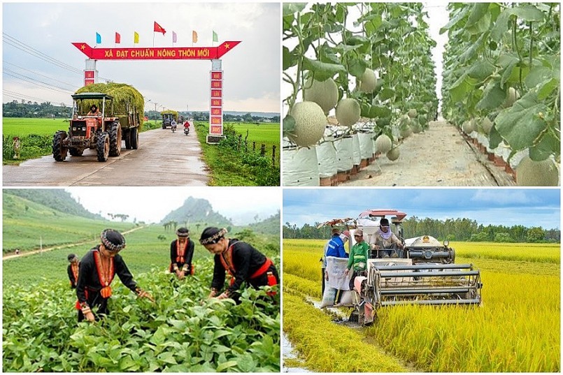 Thanh Hóa: Tỷ lệ LLc88 Giải Trí Bậc Nhất, hộ cận nghèo giảm mạnh qua từng năm