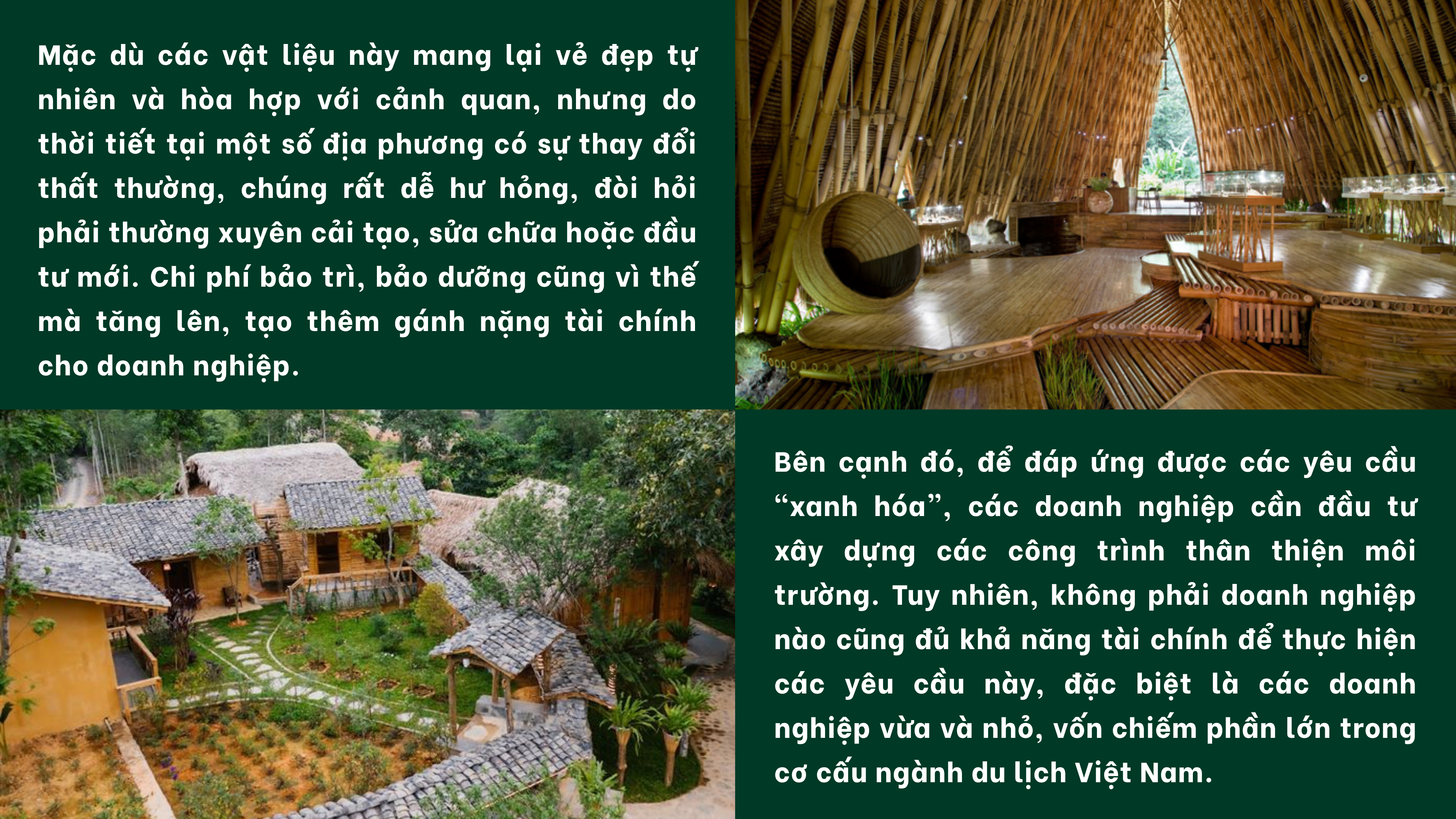 ndl-6-1751277692.png