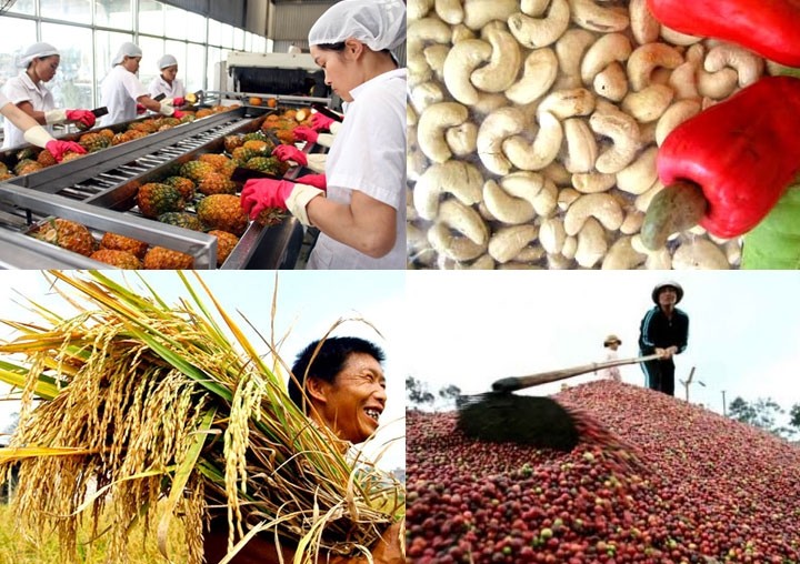 lam-cach-nao-de-day-manh-xuat-khau-nong-san-viet-nam-30-6742-1752122280.jpg