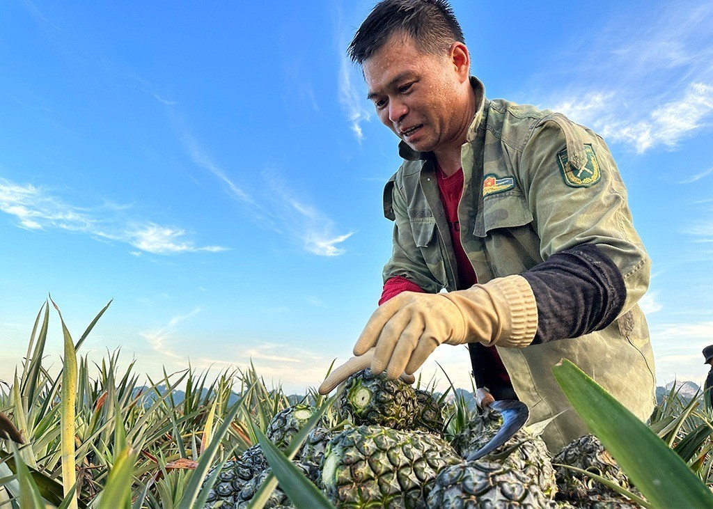 sat-nhap-ba-tinh-1-1750000504-1752245123.jpeg