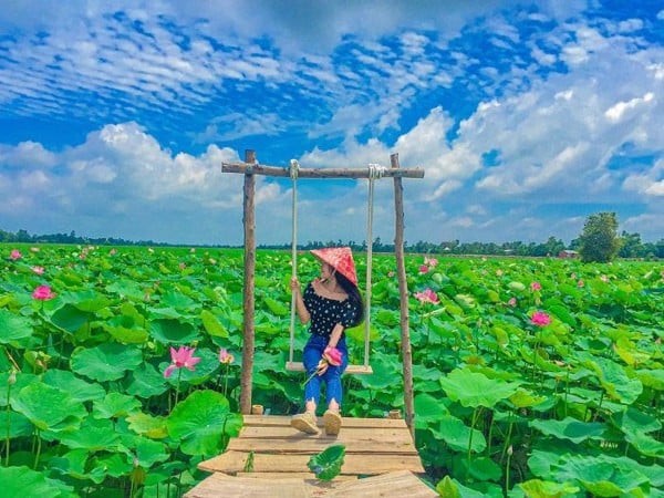 Khu Lc88.men Cá cược thể thao văn hoá Phương Nam