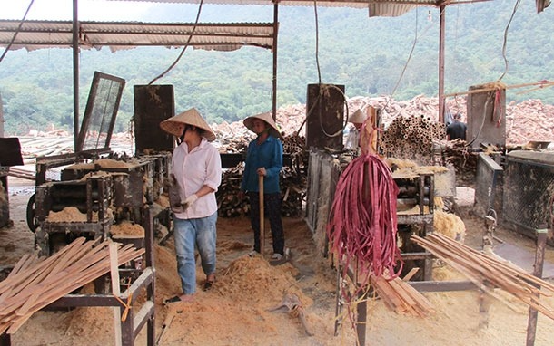 kinh-te-tu-nhan-1-1753062125.png