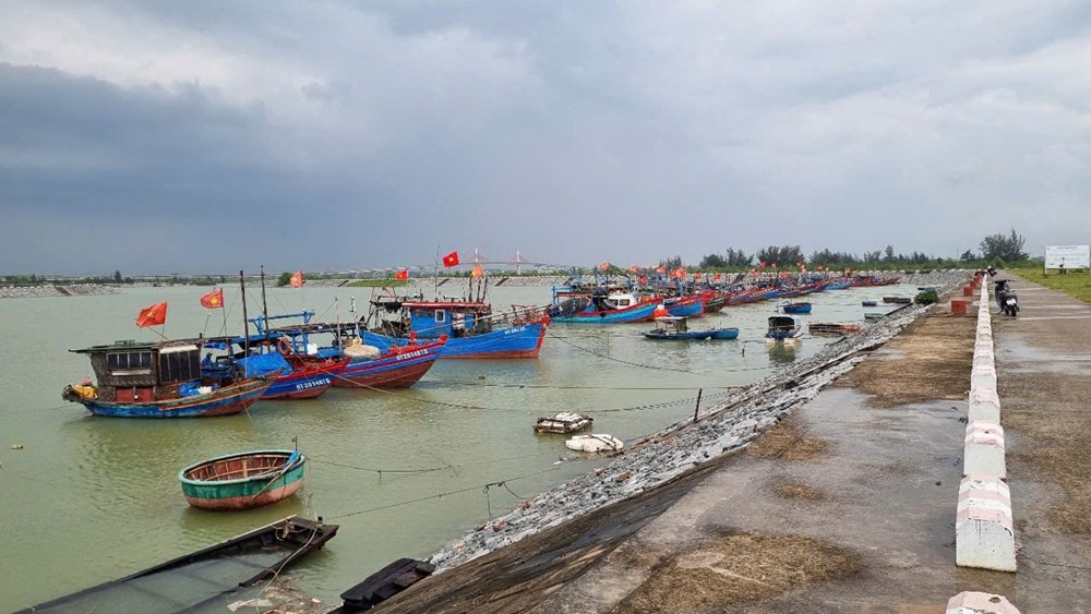 tranh-bao-so-3-1-1753079319.jpg