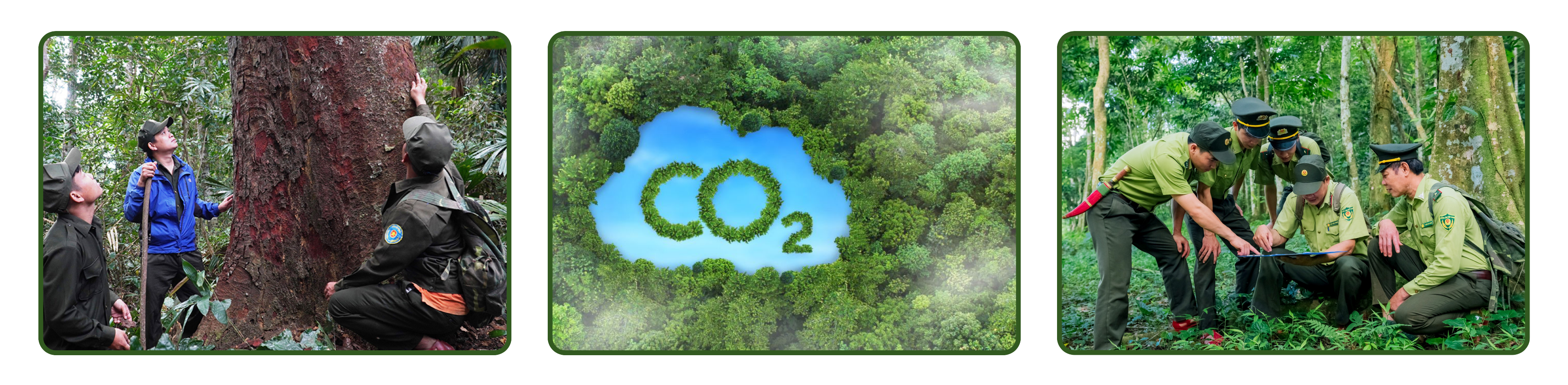 co2-5-1753407760.png