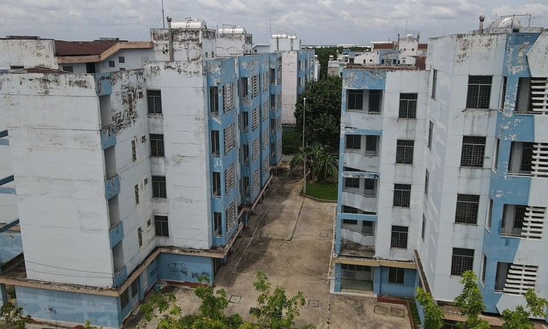 bo-hoang-1753865248.jpg