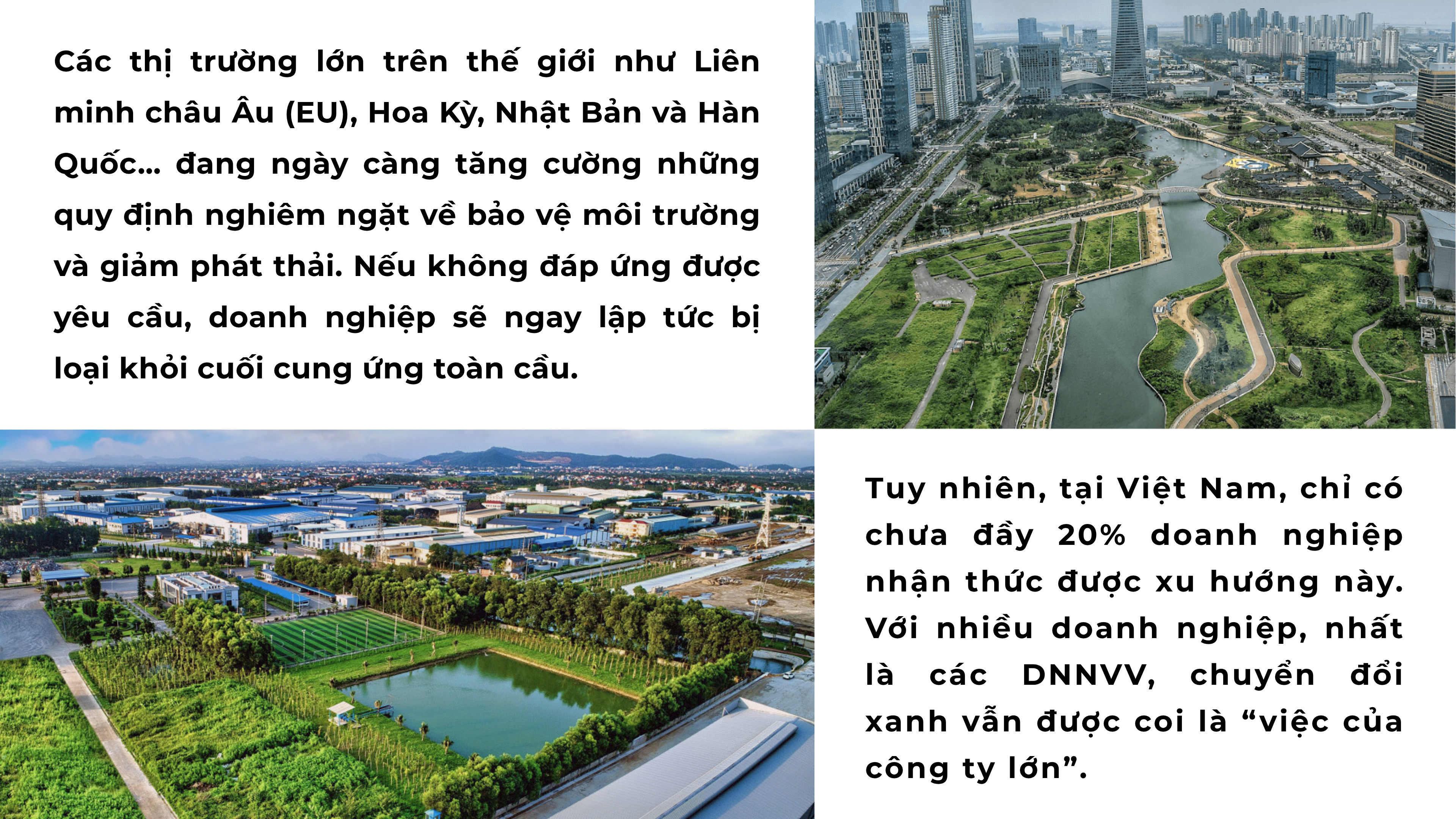 sme-3-1753852188.png