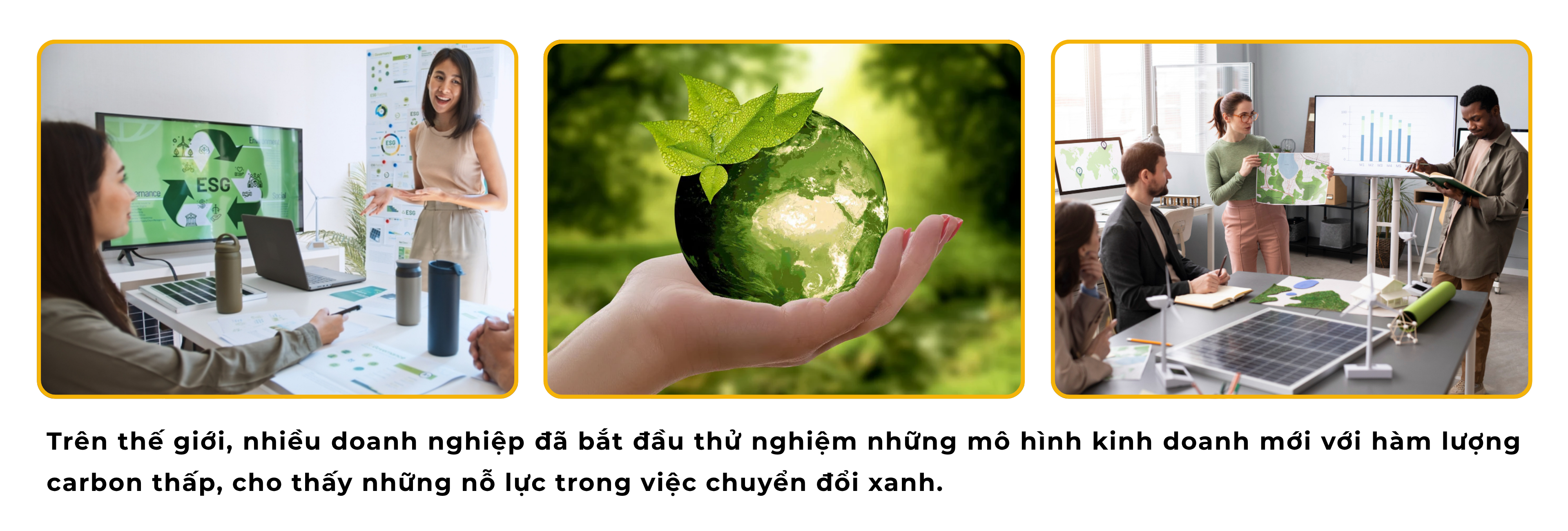 sme-5-1753852169.png