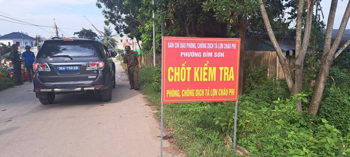 Nhiều LLc88 phiên bản mới ở Thanh Hóa bước đầu khống chế được bệnh Dịch tả lợn Châu Phi