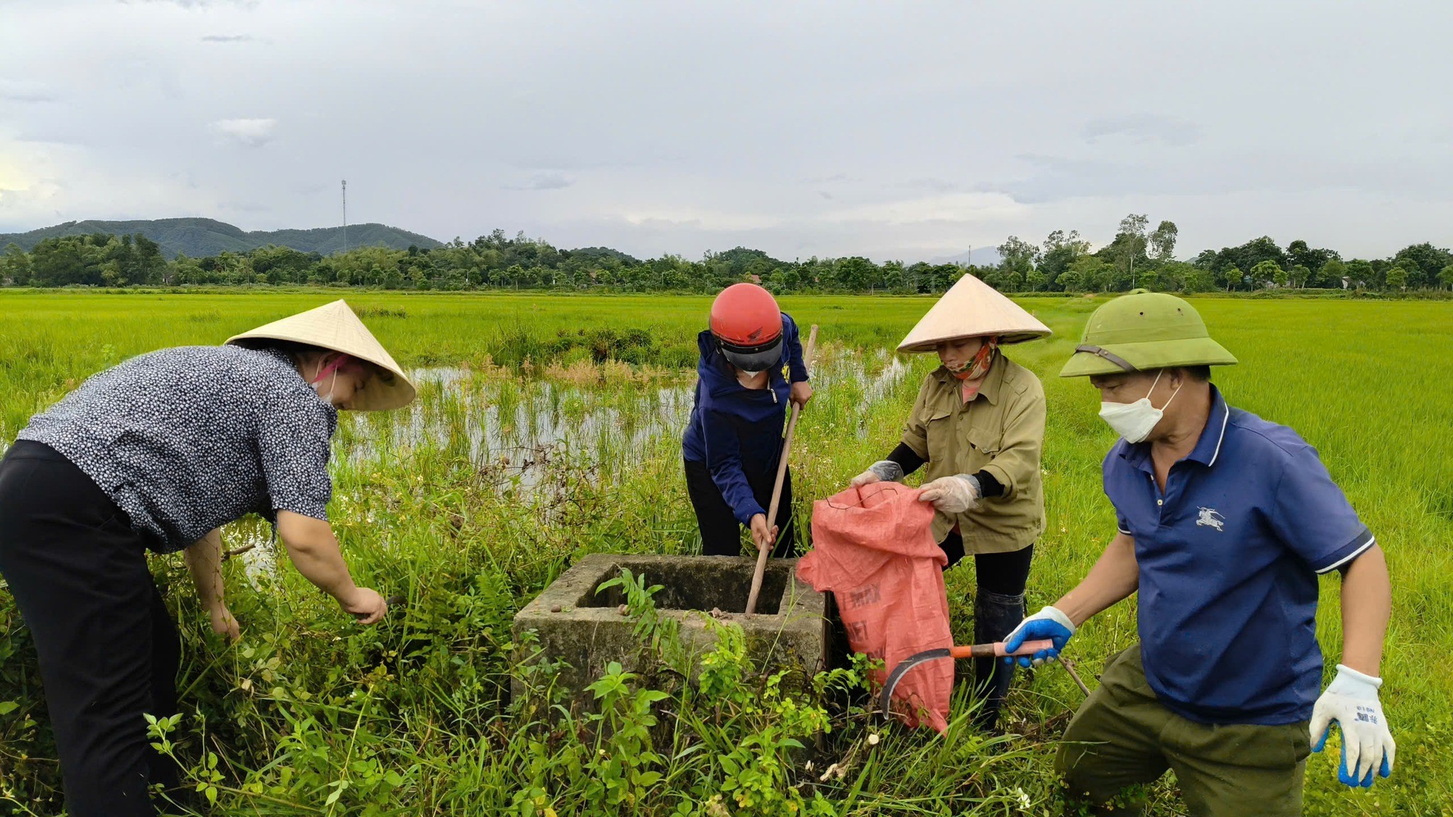 nong-dan-bvmt-4-1754570878.jpg