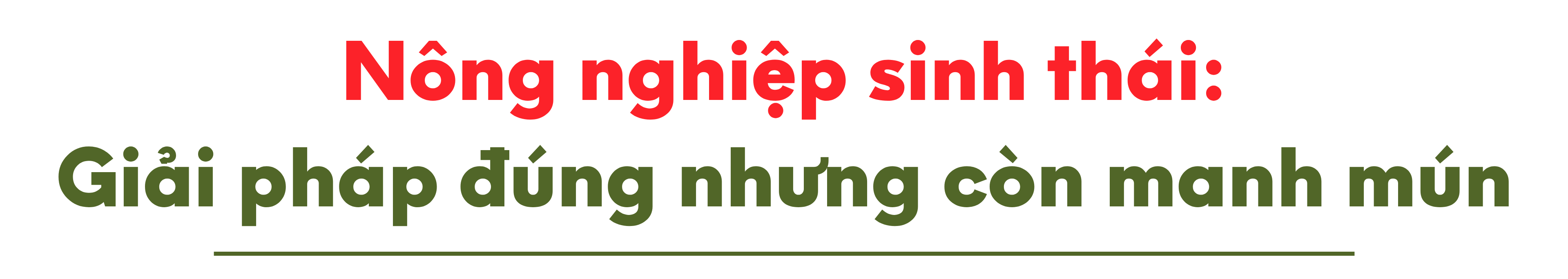 nnst-title-1-1754626311.png