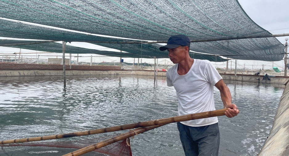 Ao nu&ocirc;i t&ocirc;m c&ocirc;ng nghệ cao