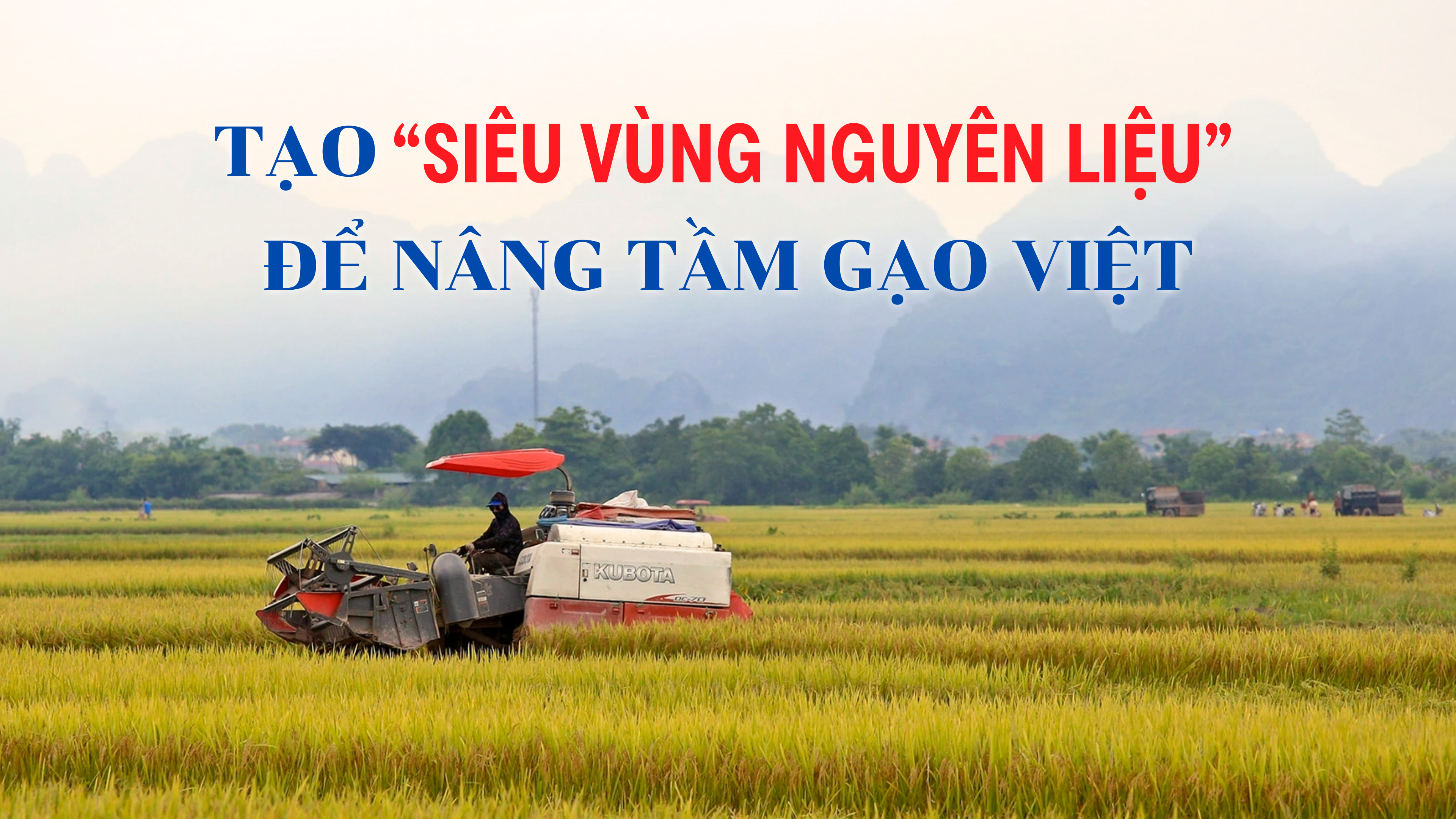 Tạo "siêu vùng nguyên liệu” để nâng tầm gạo Việt