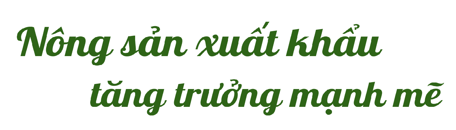 nong-san-xk-1755422367.png