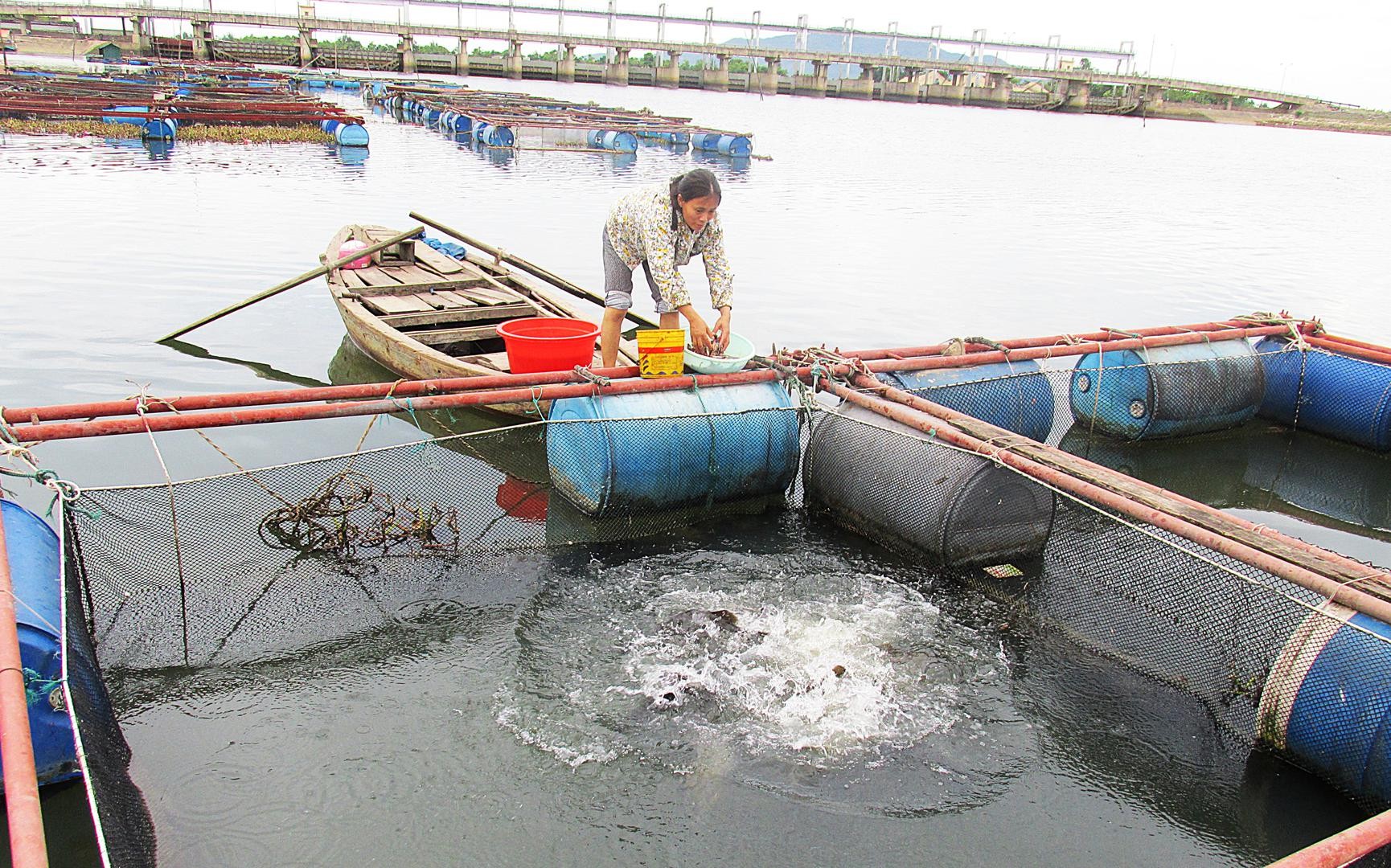 chu-dong-phong-ngua-truoc-mua-mua-bao-1-1755477404.jpg