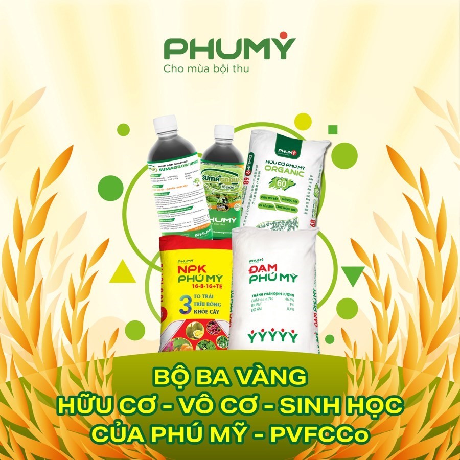 phumy3-1755845836.jpg