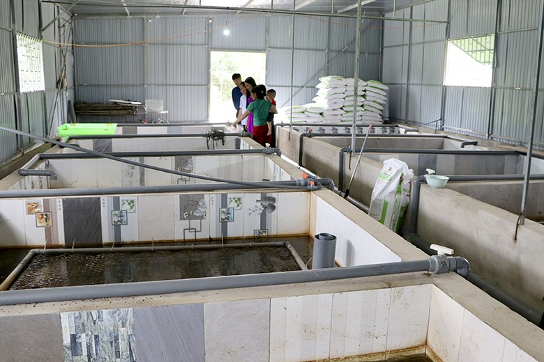 nuoi-luon-thuong-duc-1755910056.jpg