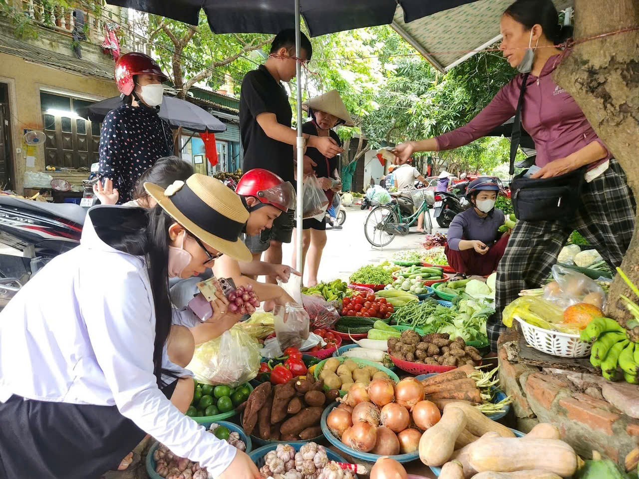 nguon-cung-doi-dao-1756039589.jpg