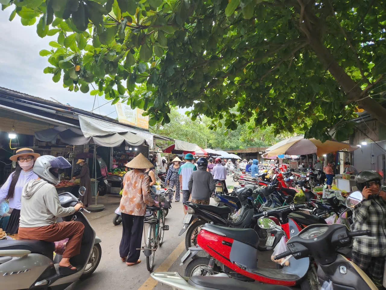 Hà Tĩnh ứng phó với bão số 5