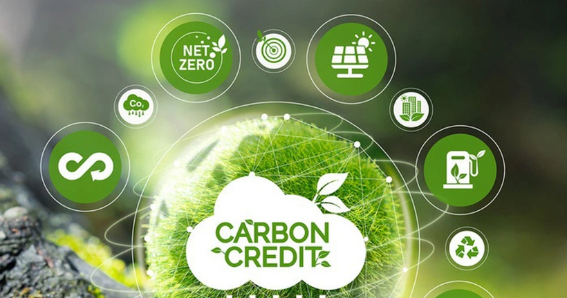 10Lc88 Giải Trí Thể Thao Carbon