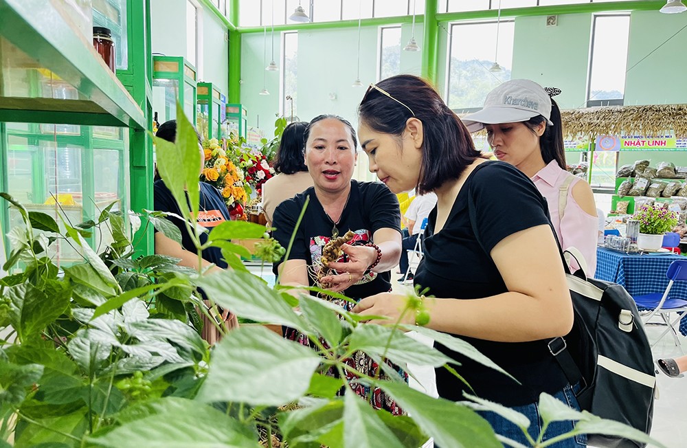 nong-nghiep-da-nang-1756180974.jpg