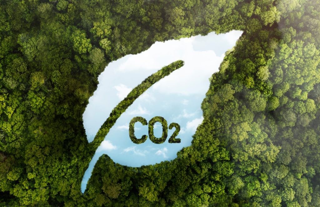 co2-1024x664-1756290167.jpg