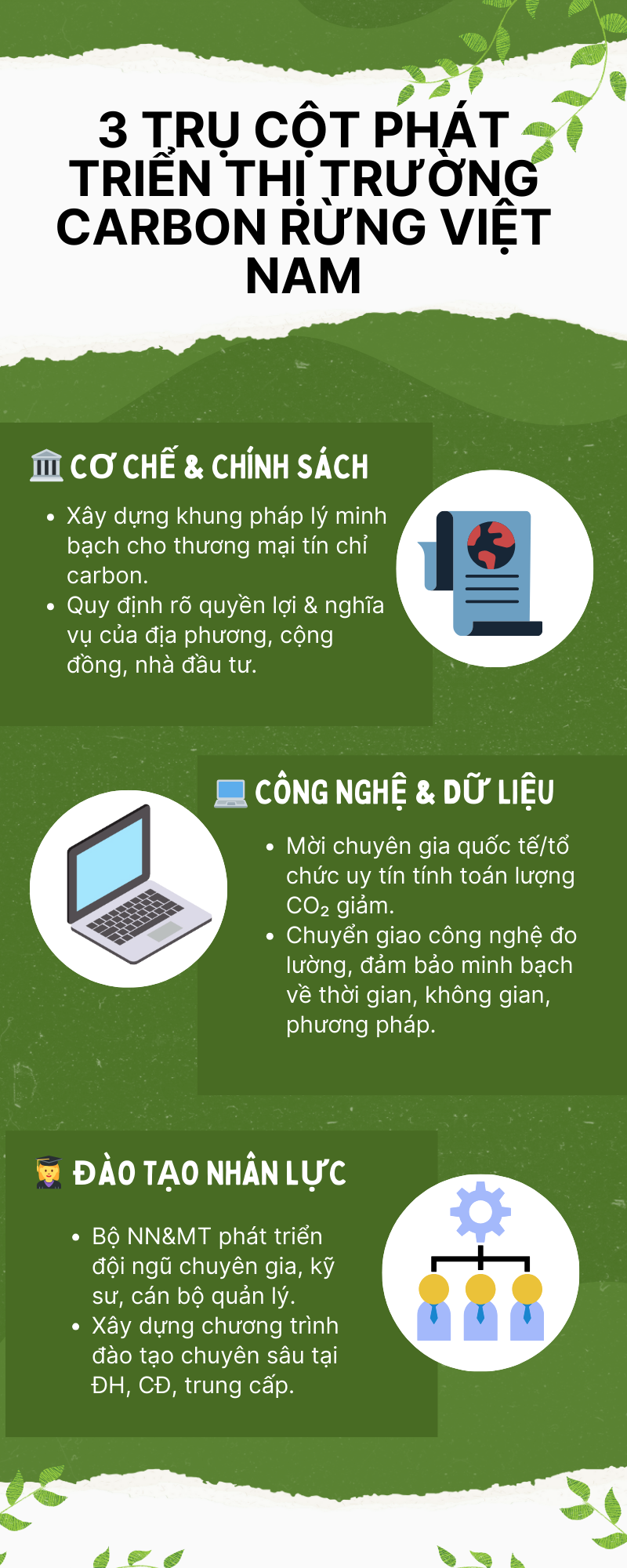 green-illustrative-how-to-conserve-nature-infographic-1-1756349194.png