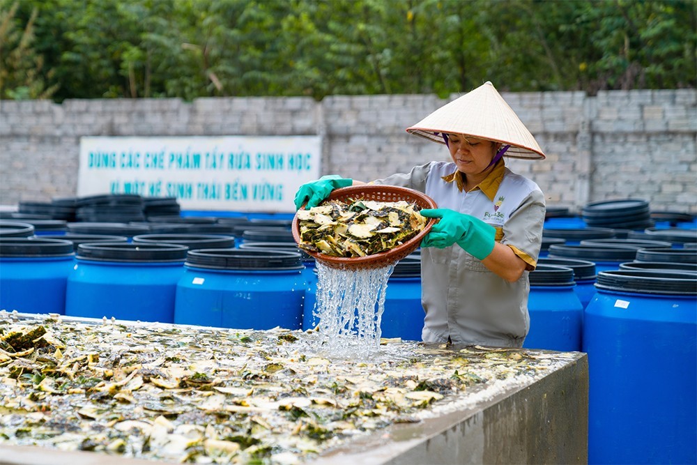 nong-nghiep-xanh-4-1756457065.jpg
