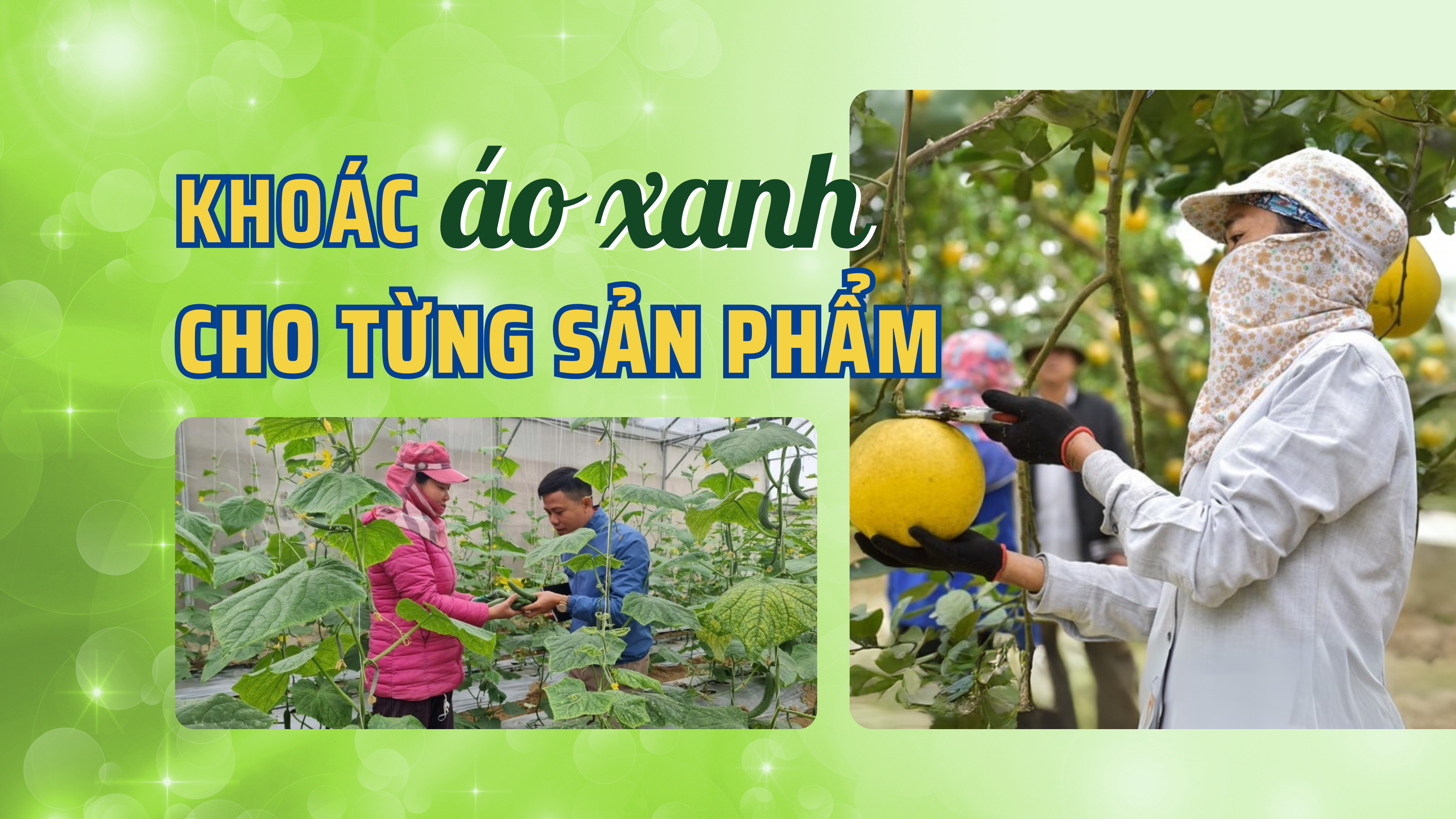 Khoác áo xanh cho từng sản phẩm - Bài 4: Chứng nhận xanh – tấm vé thông hành hay thử thách?