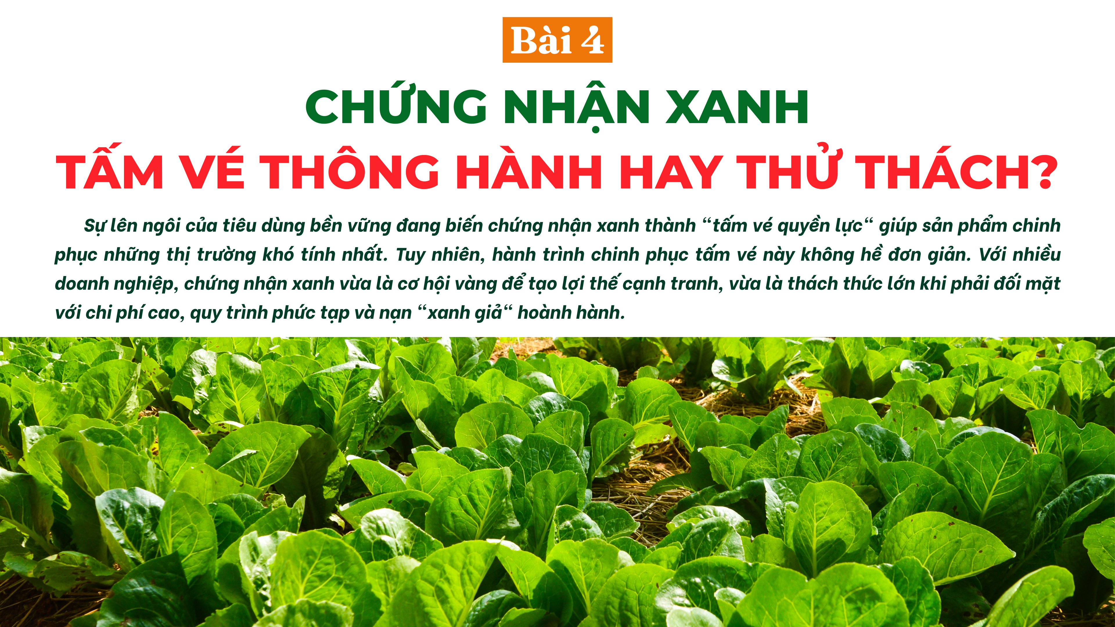 cnx-2-1756981314.png