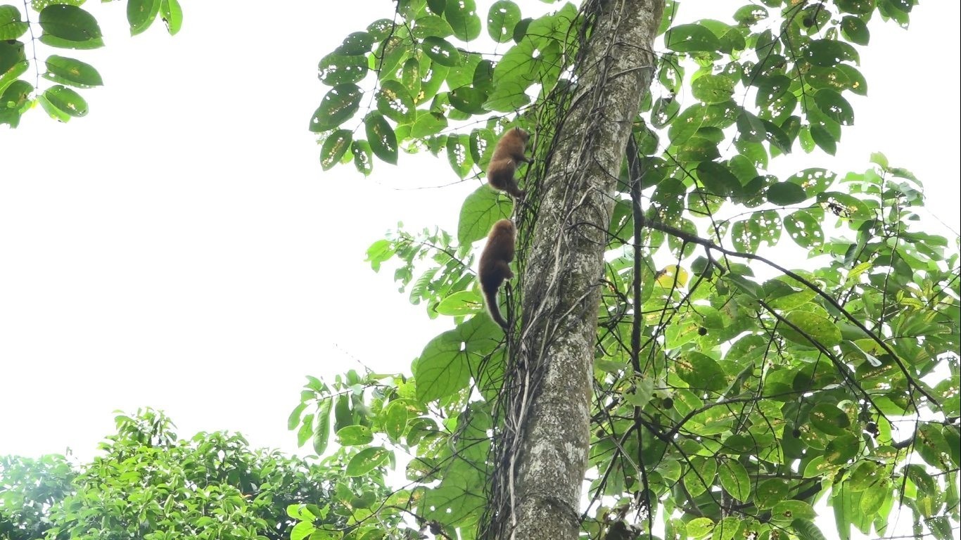 image-1-1756961154.jpg