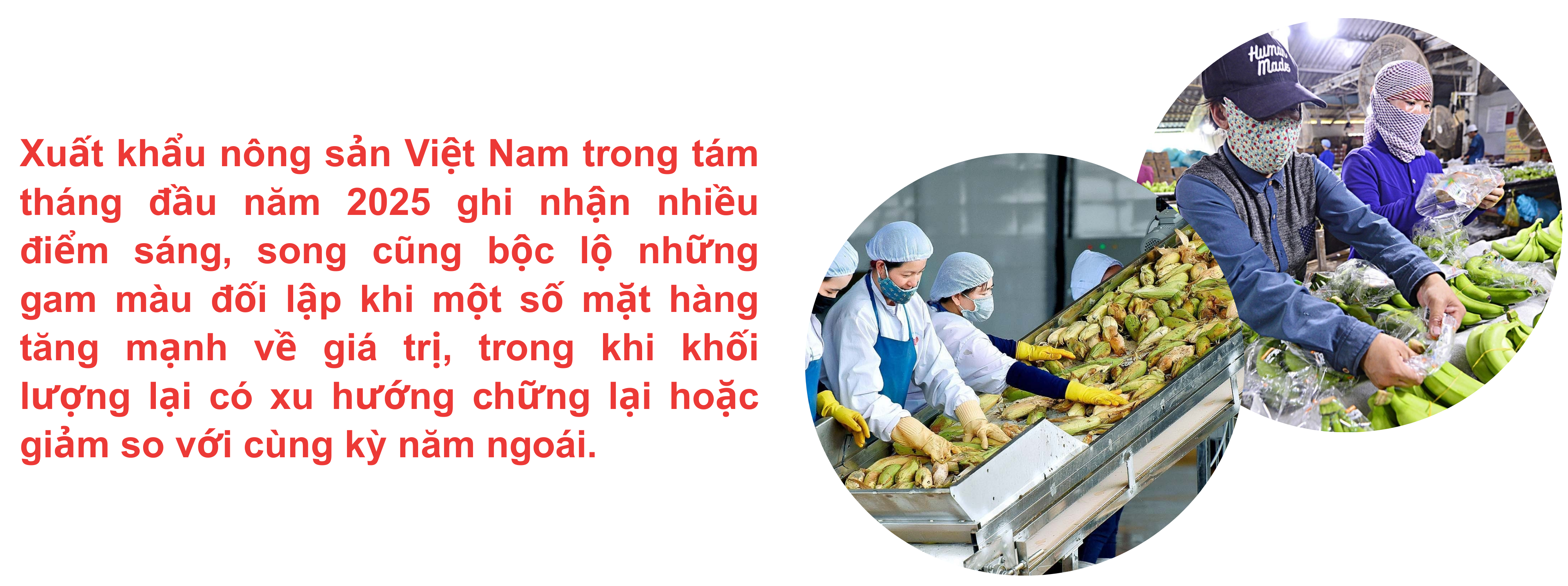longform-32-1757123736.png