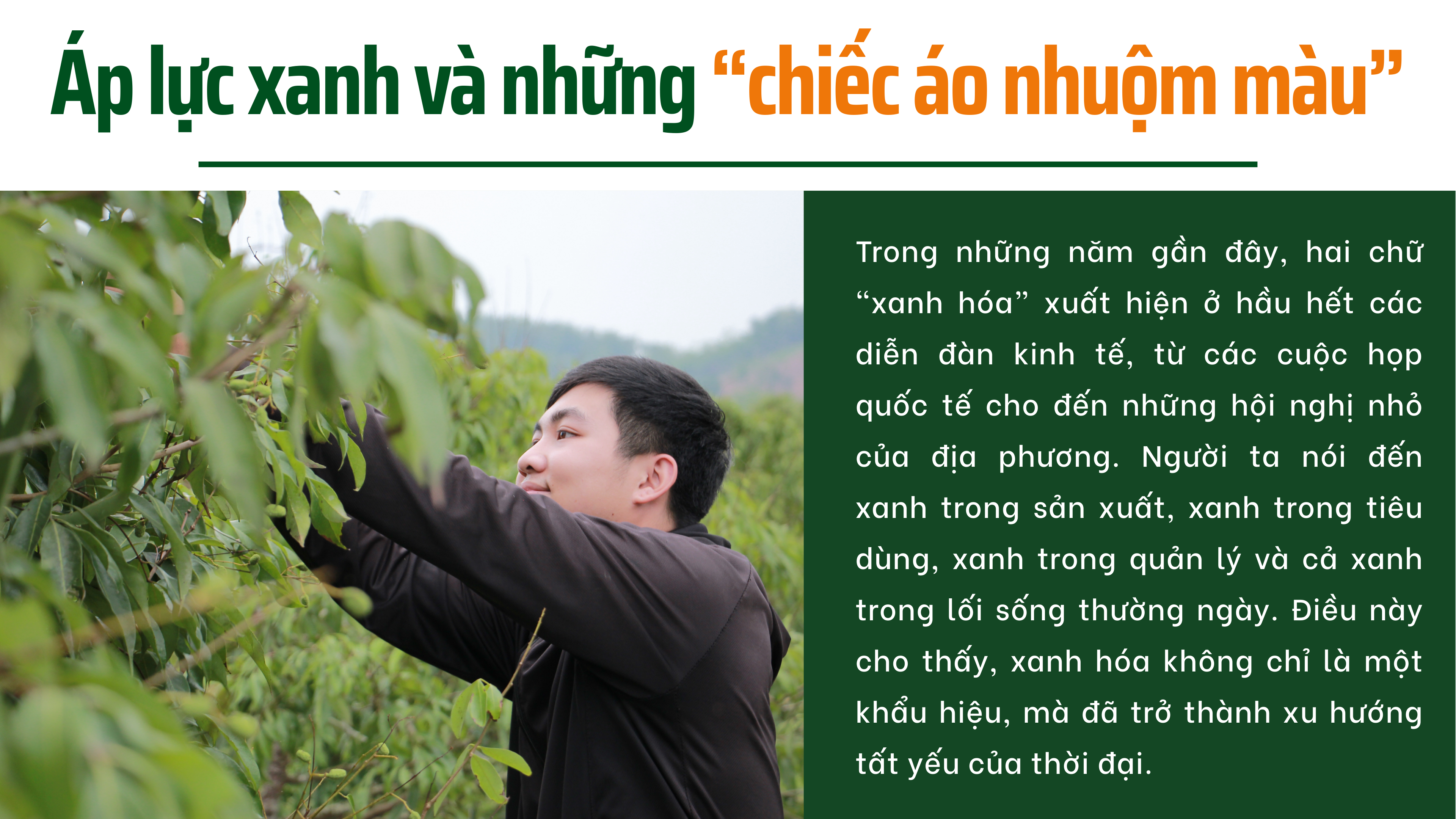 xhdn-3-1757327873.png