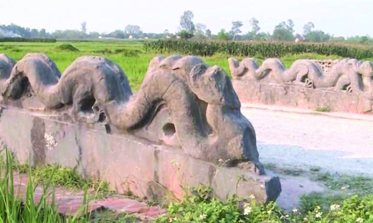 thanh-nha-ho-1757497963.jpg
