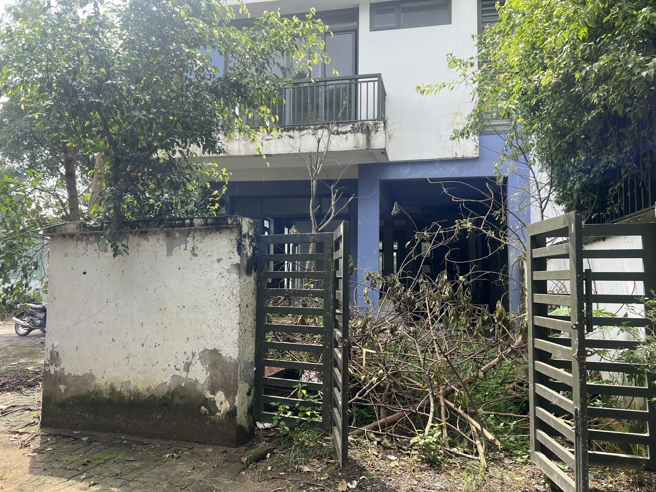 1g-1757658633.jpg