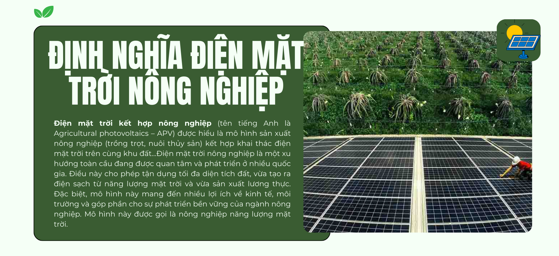 dien-mat-troi-nong-nghiep-viet-nam-tiem-nang-lon-thach-thuc-con-chong-chat10-1757653131.png