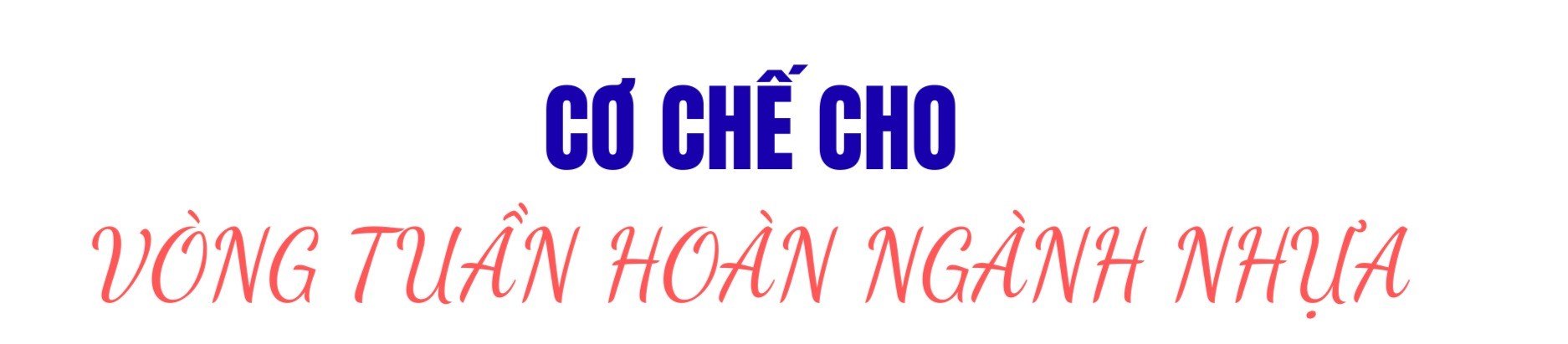 nganh-nhua-viet-va-cuoc-cach-mang-tai-che-4-2-1758284100.png