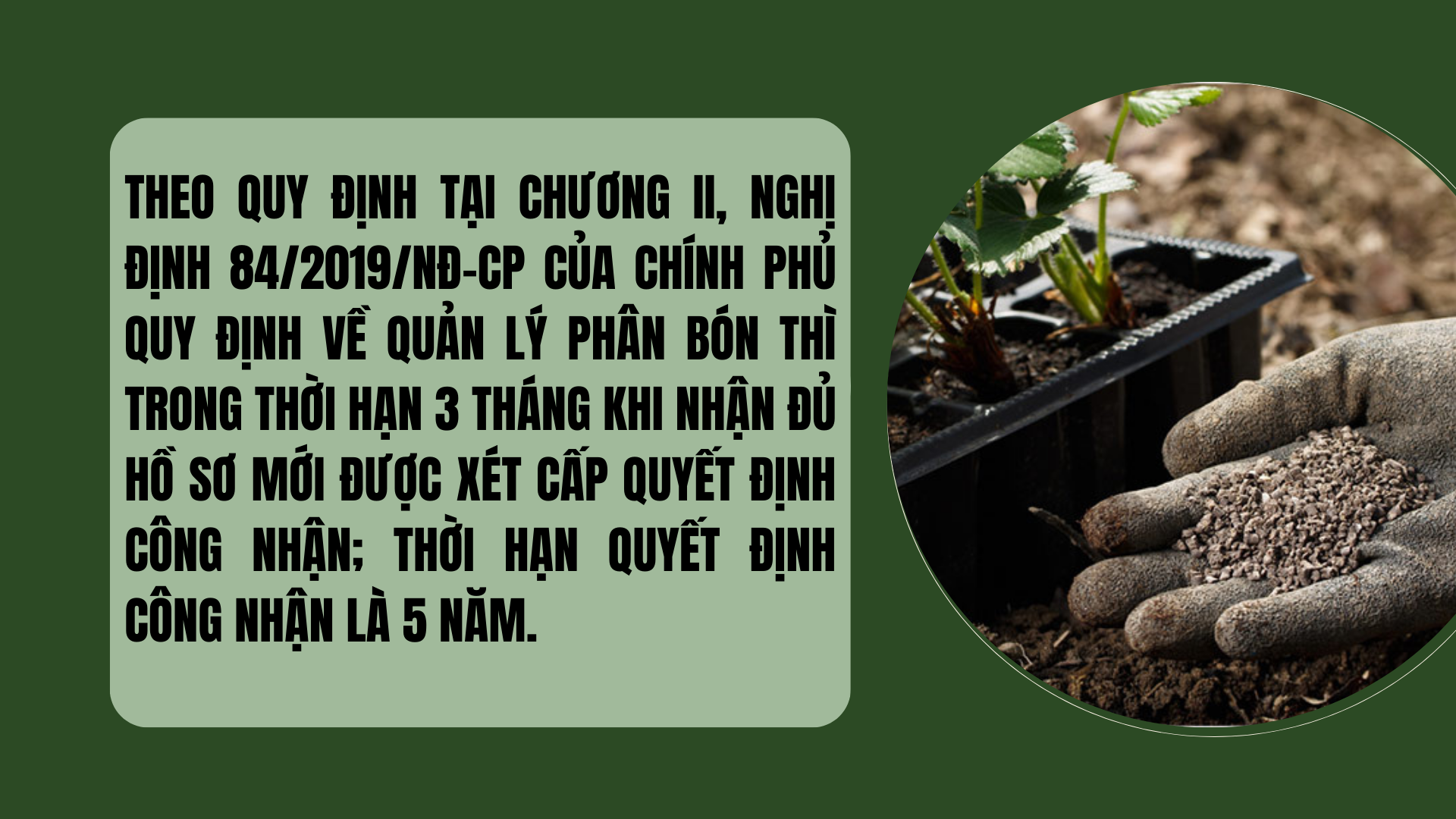 green-modern-sustainable-living-nature-presentation-5-1758459818.png