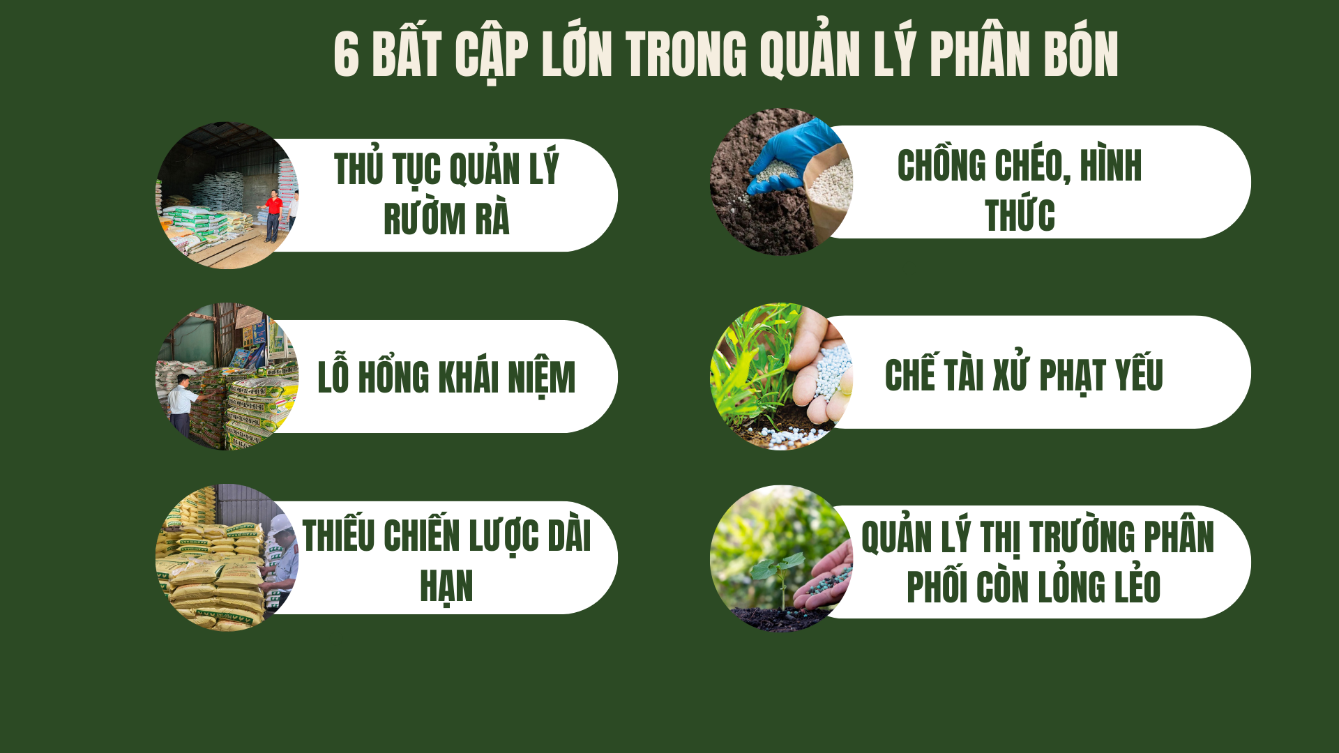 green-modern-sustainable-living-nature-presentation-7-1758460622.png