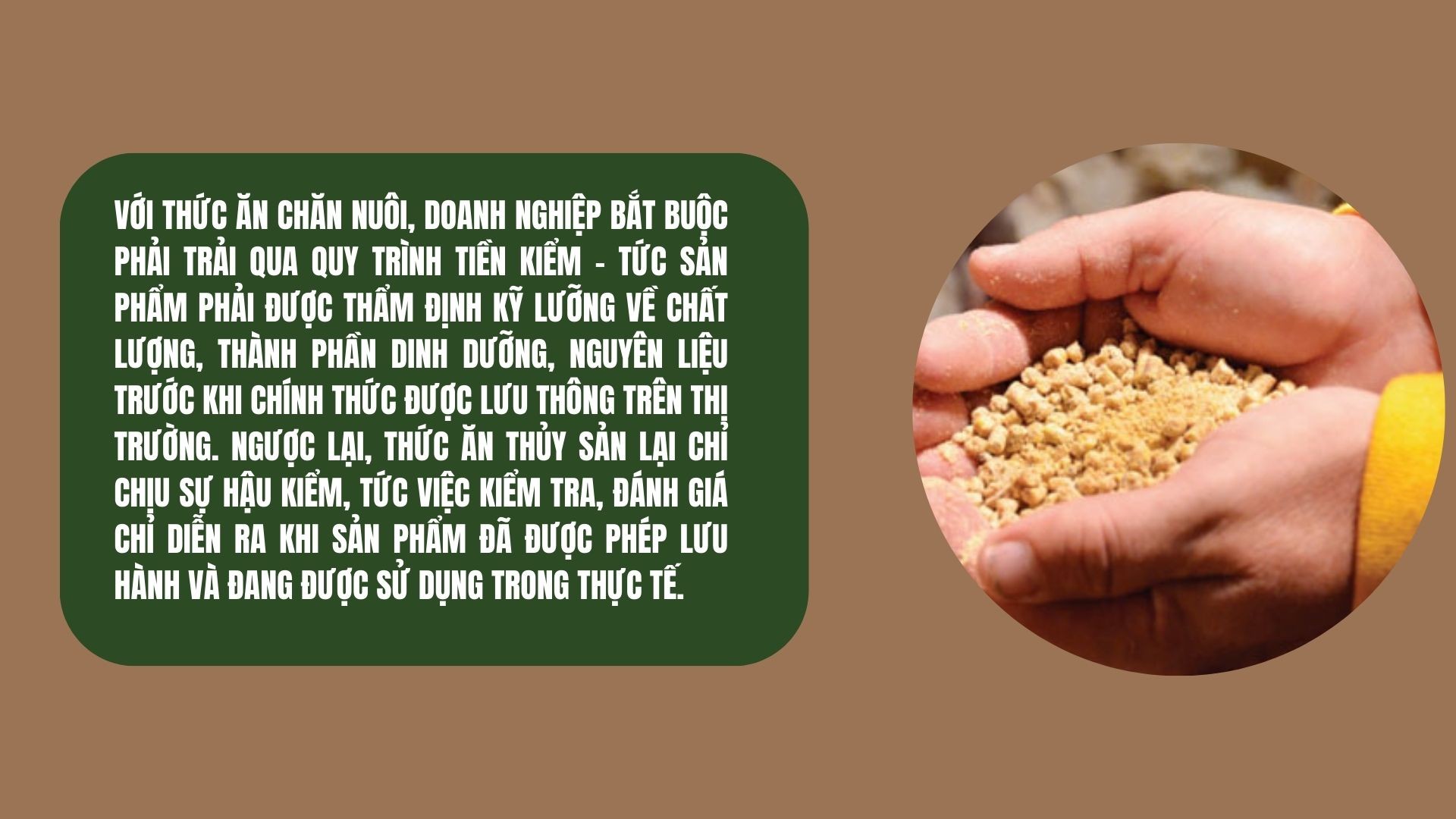 green-modern-sustainable-living-nature-presentation-6-1758770269.jpg