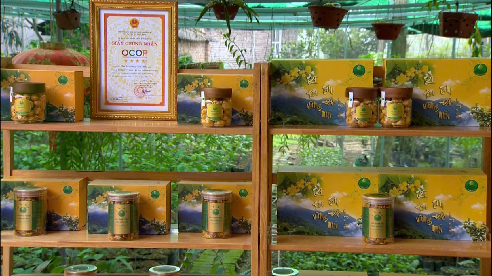 ocop-1758777789.jpg