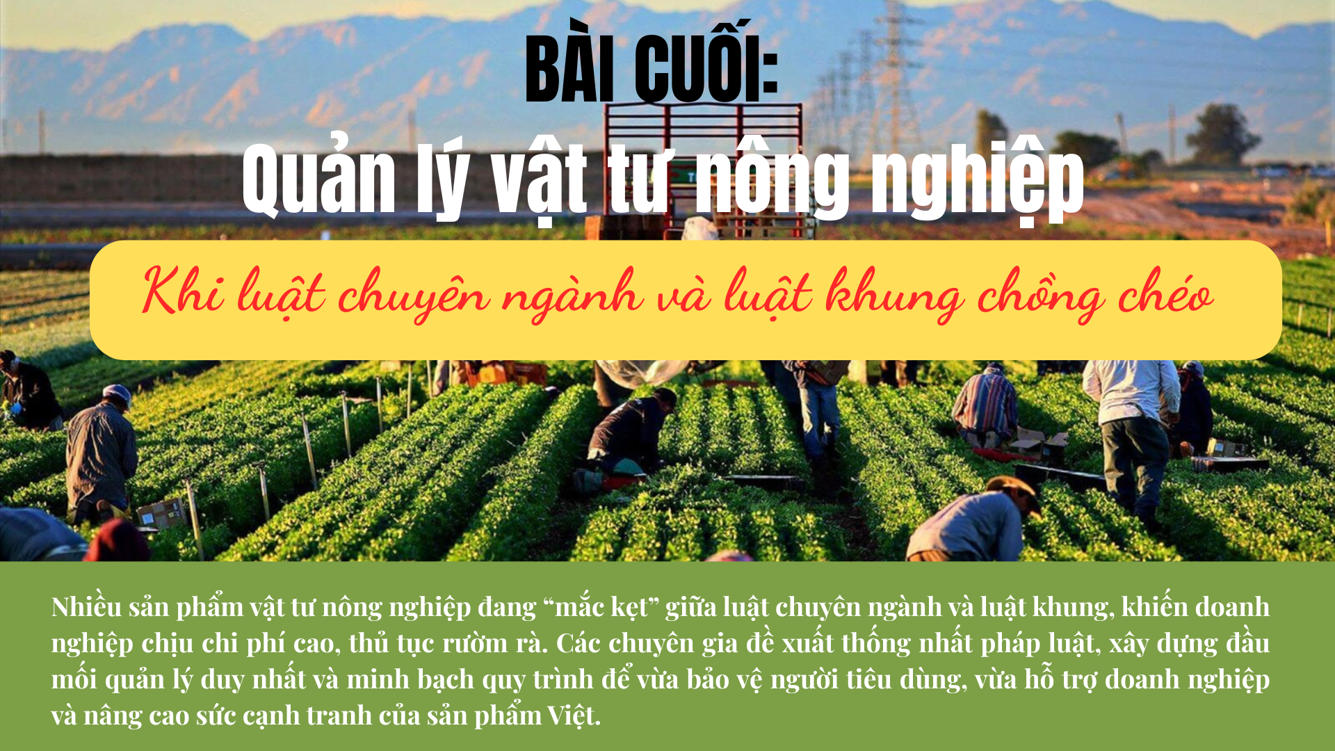 bia-1758980294.png