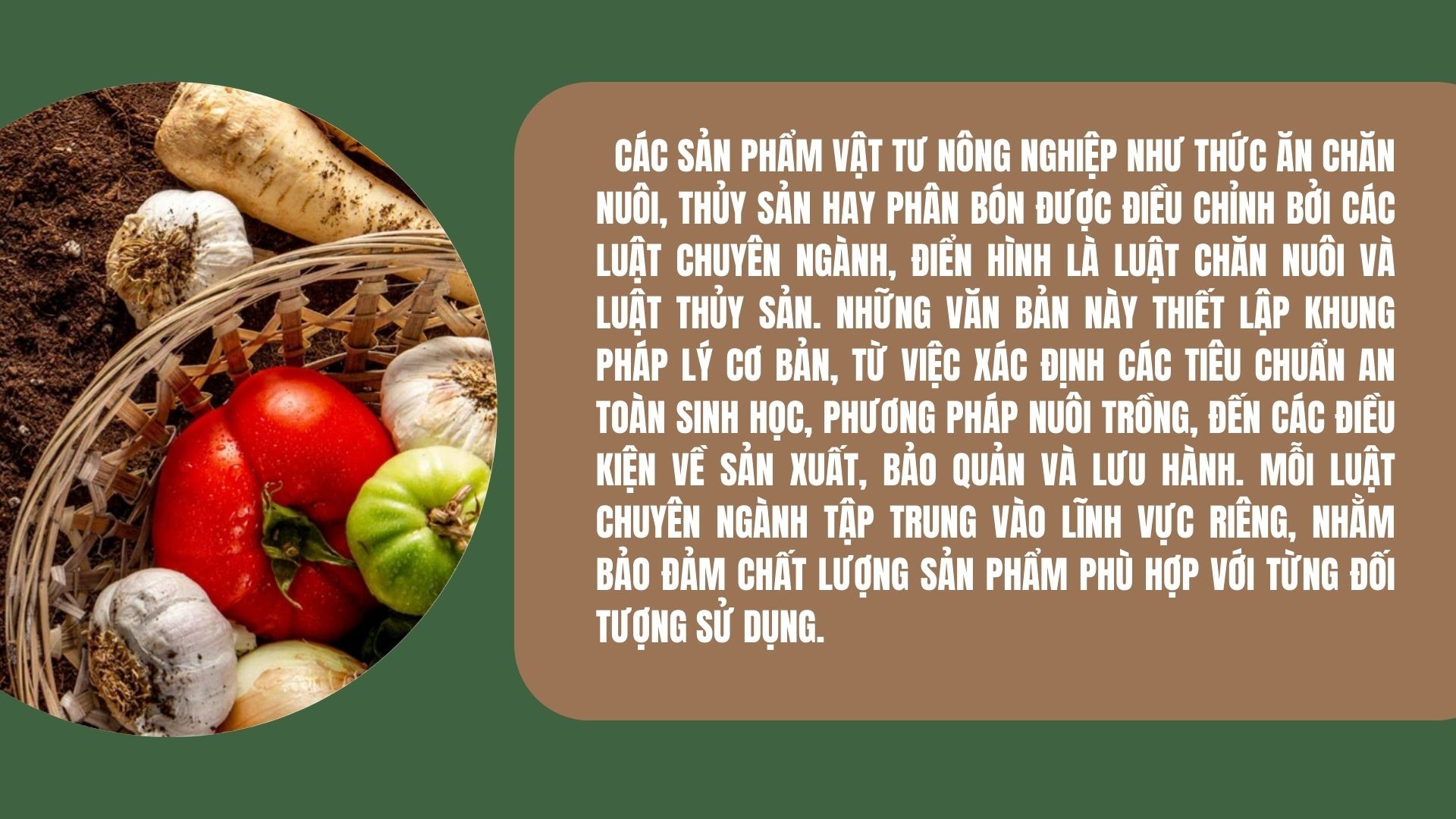 green-modern-sustainable-living-nature-presentation-3-1758960011.jpg