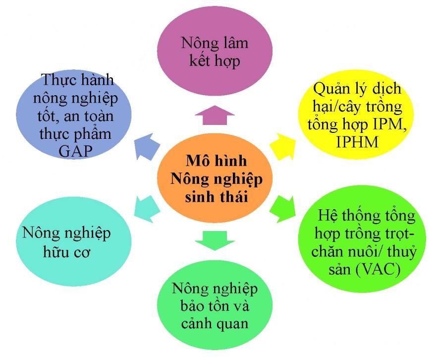 LC88 là nơi thu hút hàng triệu người chơi tại Việt Nam 2026 sinh thái
