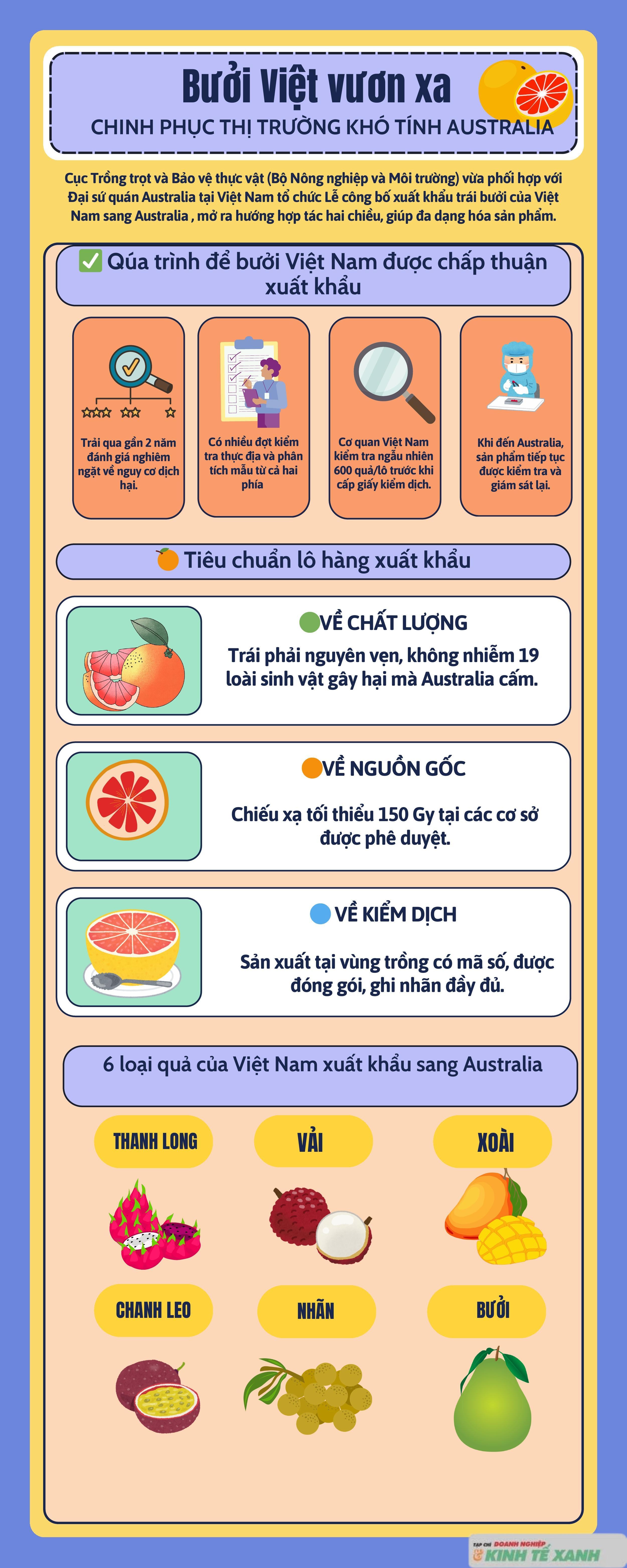 buoi-viet-lan-dau-duoc-xuat-khau-qua-uc-1760088517.jpg