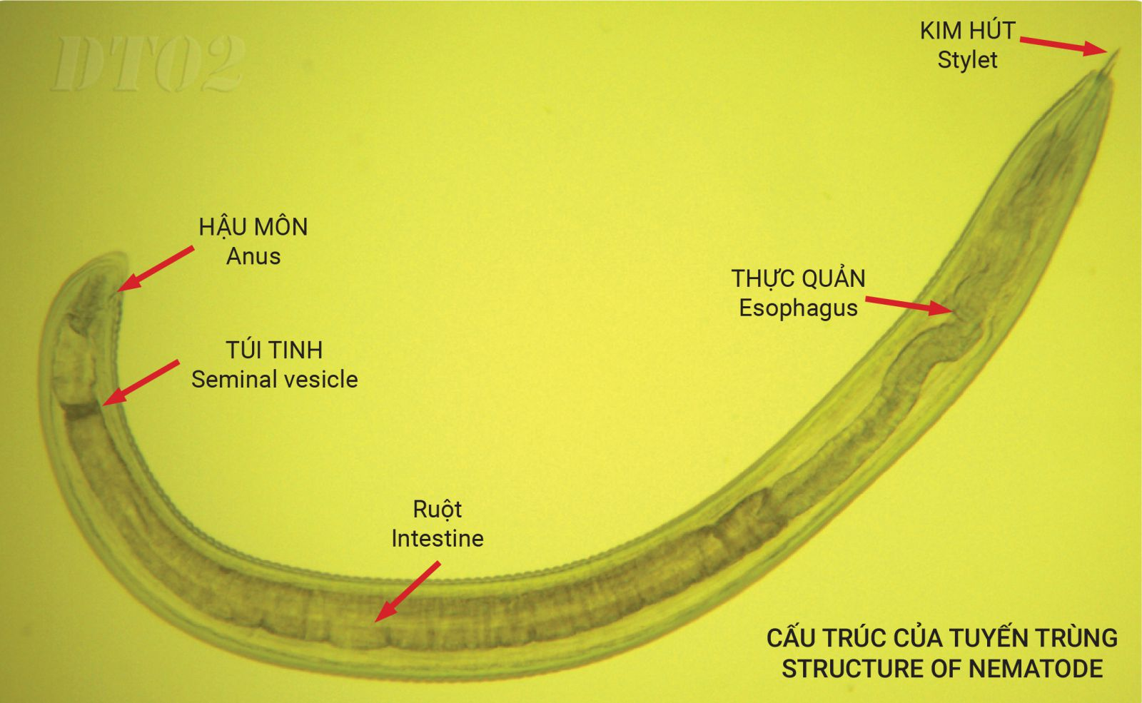tt-1760506620.png